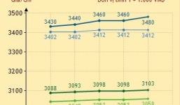 Giá vàng SJC tăng chóng mặt, chạm mốc 35 triệu đồng/lượng
